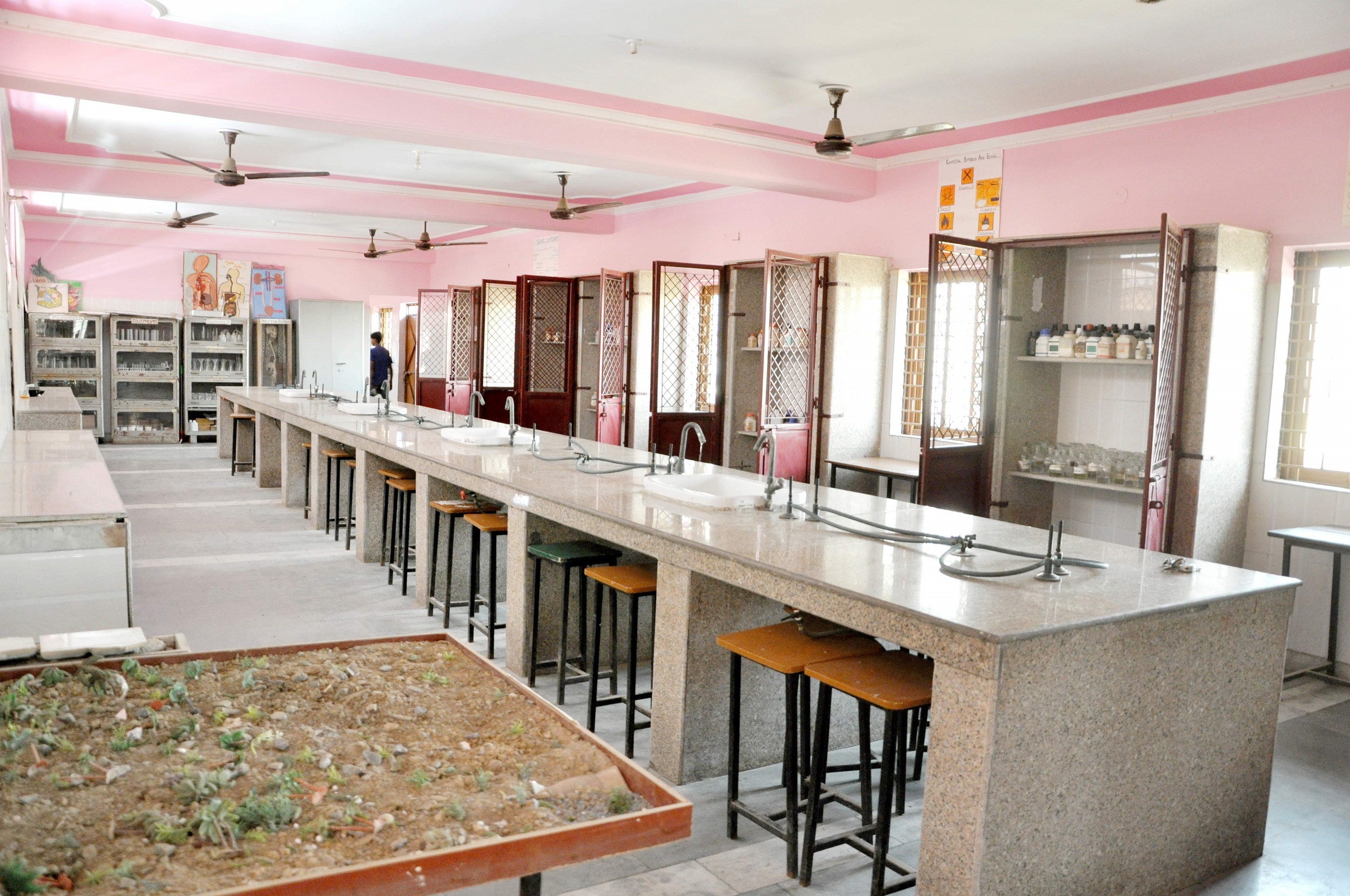Psm Lab PSM Public School